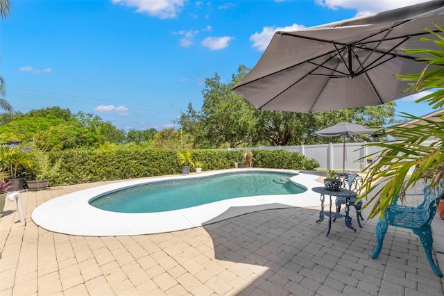 view of swimming pool featuring a patio and a fenced backyard