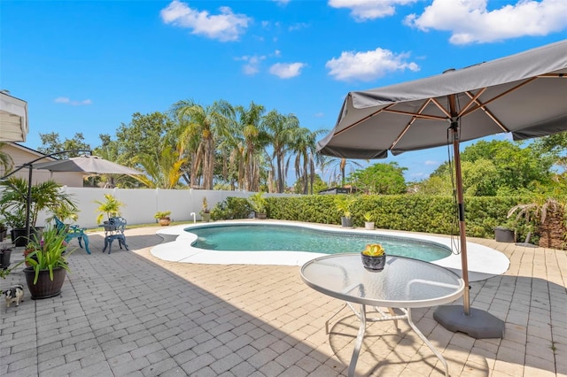 view of pool featuring a patio area and a fenced backyard
