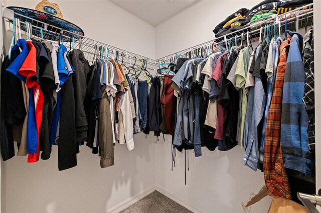 6542 95th Pl N, Pinellas Park, FL 33782 - spacious closet featuring carpet floors