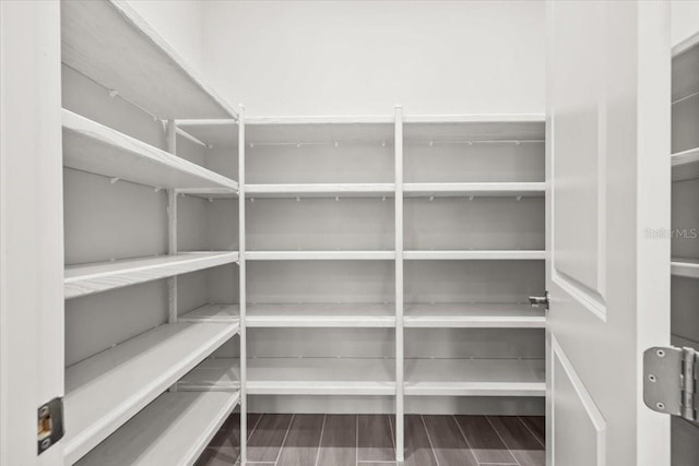 33750 Ocean Spray Ln, Wesley Chapel, FL 33543 - view of pantry