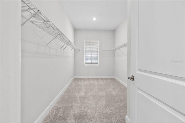 33750 Ocean Spray Ln, Wesley Chapel, FL 33543 - spacious closet featuring carpet flooring