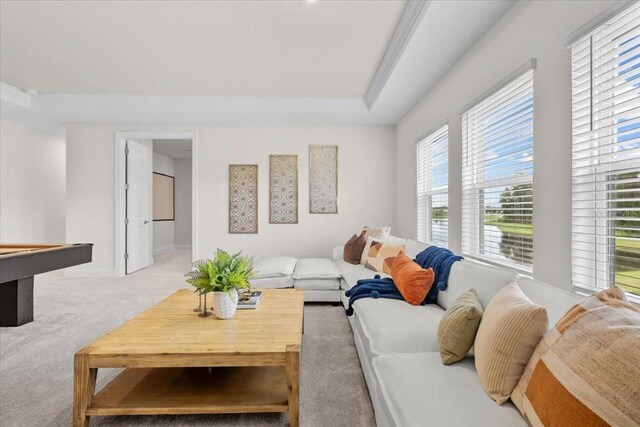 33750 Ocean Spray Ln, Wesley Chapel, FL 33543 - carpeted living area featuring billiards and baseboards