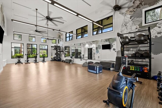 33750 Ocean Spray Ln, Wesley Chapel, FL 33543 - workout area featuring ceiling fan, a high ceiling, and wood finished floors