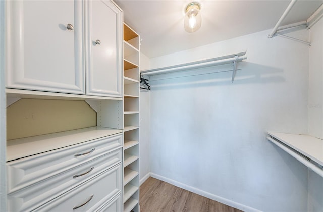 6151 Bahia Del Mar Blvd Unit 126, Saint Petersburg, FL 33715 - spacious closet with light wood-style floors