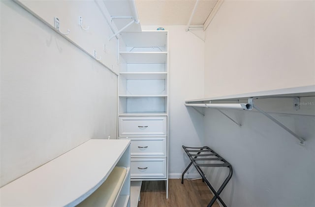 6151 Bahia Del Mar Blvd Unit 126, Saint Petersburg, FL 33715 - walk in closet featuring dark wood-type flooring