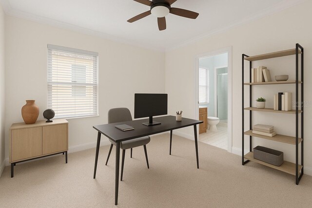 2936 W Knights Ave Unit A, Tampa, FL 33611 - office space featuring a ceiling fan, light colored carpet, plenty of natural light, and baseboards