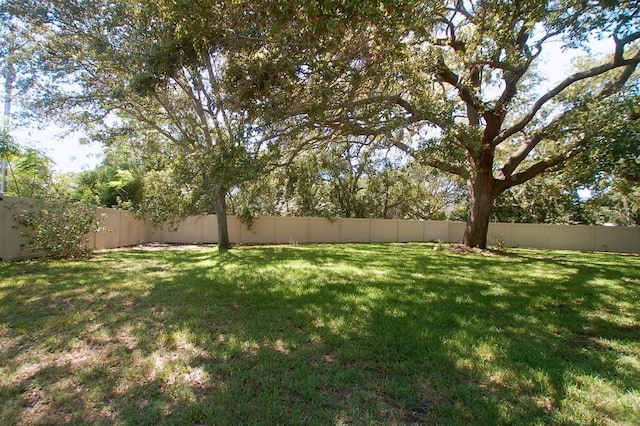 1126 Tarridon Ct, Dunedin, FL 34698 - view of yard