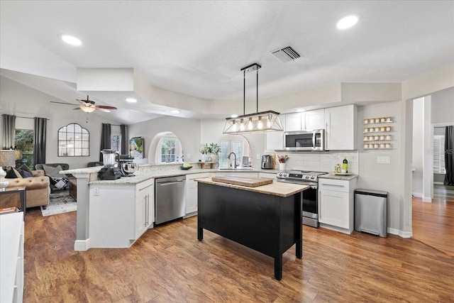 1914 Elk Spring Dr, Brandon, FL 33511 - kitchen with stainless steel appliances, a peninsula, a sink, a kitchen bar, and open floor plan