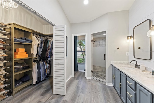 1914 Elk Spring Dr, Brandon, FL 33511 - bathroom with wood finished floors, a shower stall, vanity, lofted ceiling, and a spacious closet