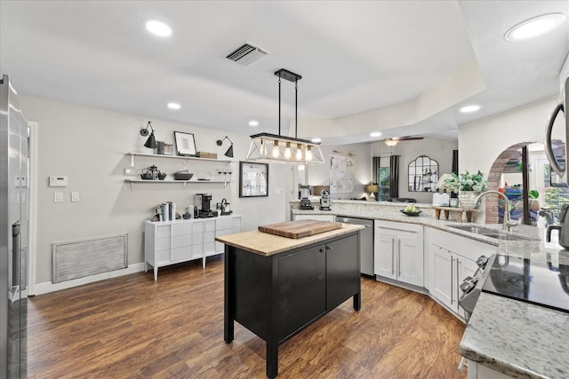 1914 Elk Spring Dr, Brandon, FL 33511 - kitchen featuring a sink, stainless steel dishwasher, recessed lighting, dark wood finished floors, and a ceiling fan
