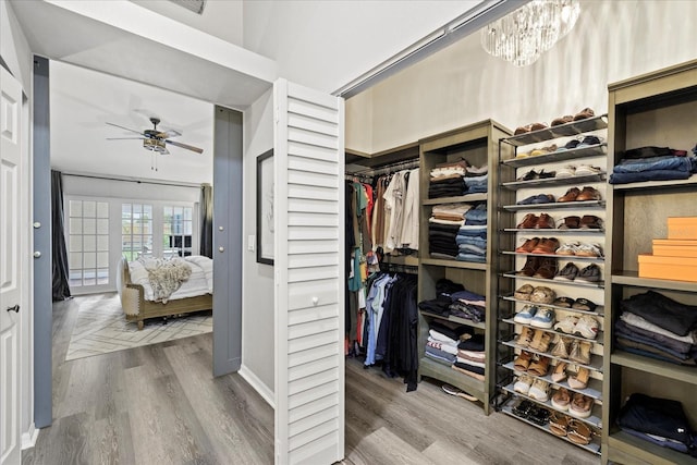 1914 Elk Spring Dr, Brandon, FL 33511 - spacious closet featuring wood finished floors, a ceiling fan, and a chandelier