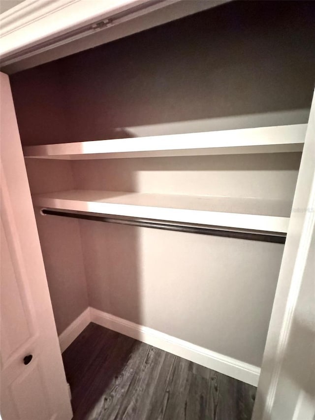 1147 Halapa Way, Trinity, FL 34655 - view of closet