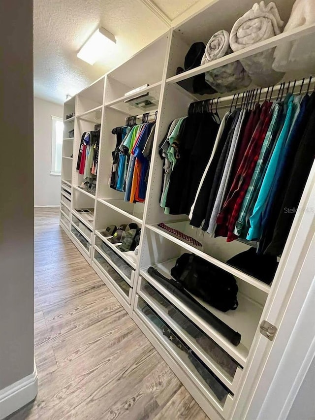 1147 Halapa Way, Trinity, FL 34655 - walk in closet featuring wood finished floors