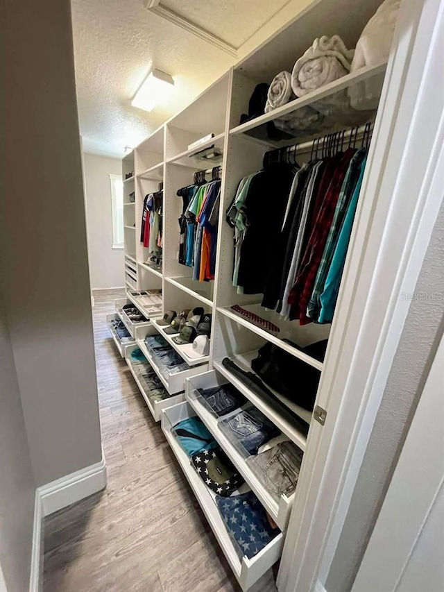 1147 Halapa Way, Trinity, FL 34655 - walk in closet featuring wood finished floors