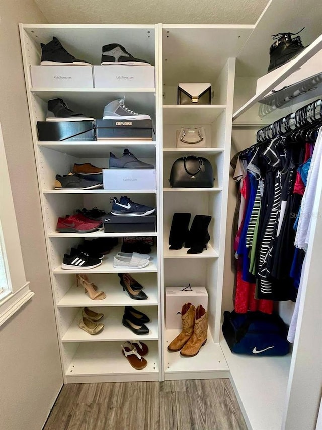 1147 Halapa Way, Trinity, FL 34655 - view of closet