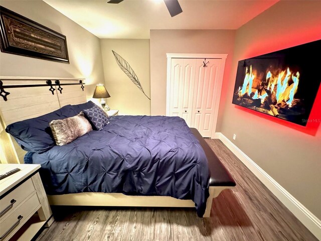 1147 Halapa Way, Trinity, FL 34655 - bedroom featuring wood finished floors, a closet, a ceiling fan, and baseboards
