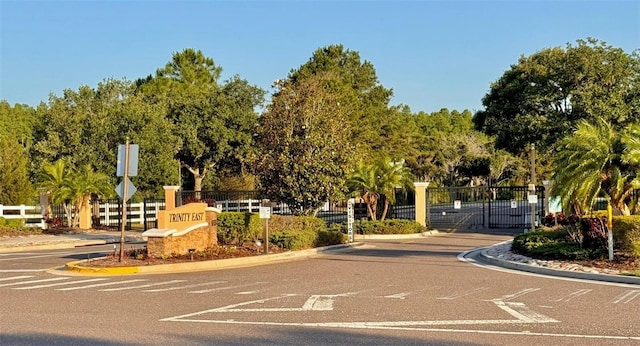 1147 Halapa Way, Trinity, FL 34655 - view of asphalt street with traffic signs, curbs, a gate, and a gated entry