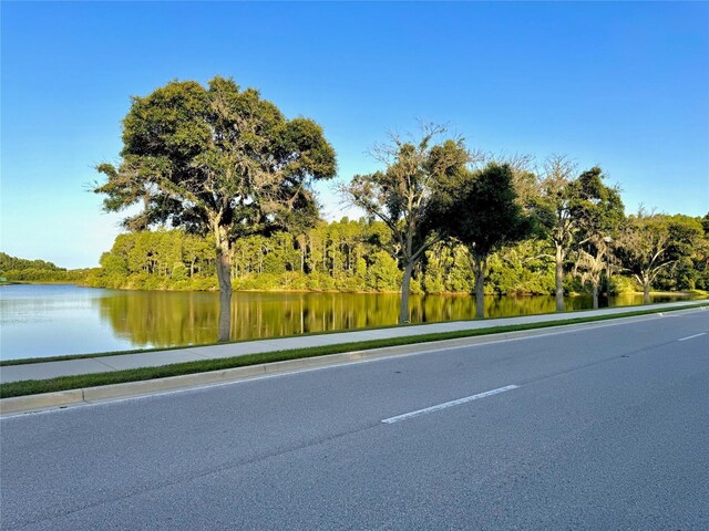 1147 Halapa Way, Trinity, FL 34655 - view of asphalt road with a water view and sidewalks