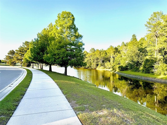1147 Halapa Way, Trinity, FL 34655 - view of community with a water view and a lawn