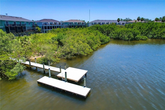 842 Tennyson Mill Cir, Tampa, FL 33619 - dock area featuring a water view