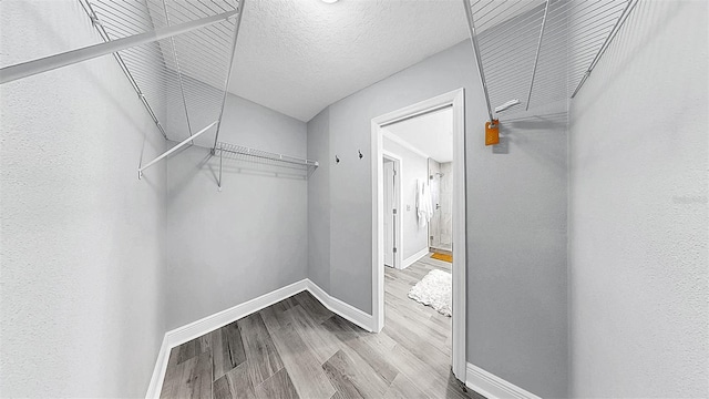 walk in closet featuring wood finished floors