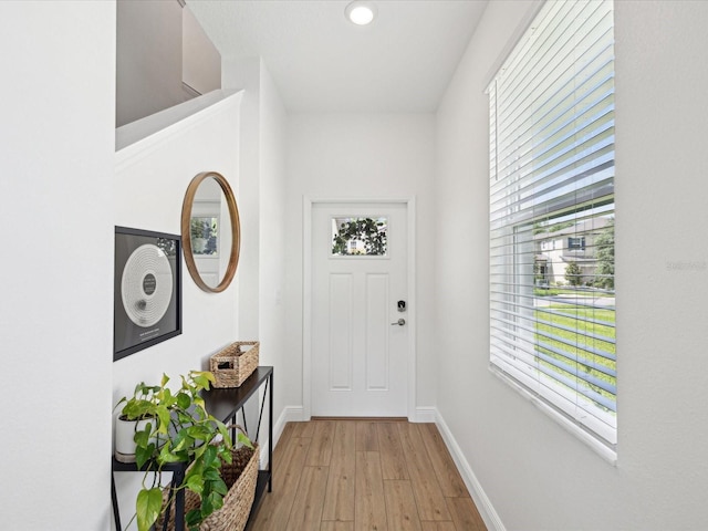 17729 Nectar Flume Dr, Land O Lakes, FL 34638 - doorway with light wood-style flooring, baseboards, and recessed lighting