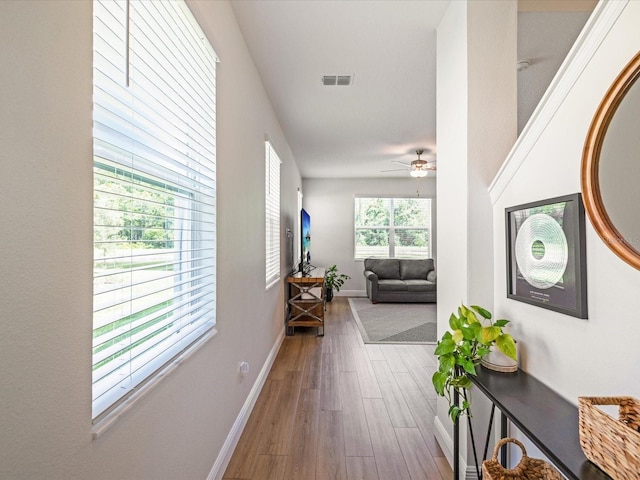 17729 Nectar Flume Dr, Land O Lakes, FL 34638 - corridor with baseboards and wood finished floors