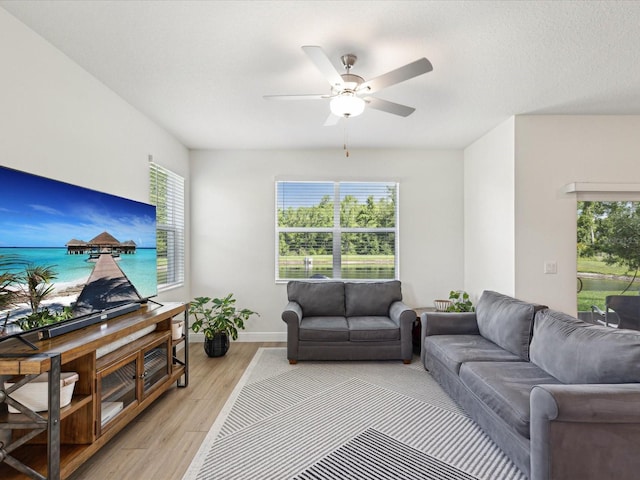 17729 Nectar Flume Dr, Land O Lakes, FL 34638 - living room featuring plenty of natural light, light wood-type flooring, ceiling fan, and baseboards