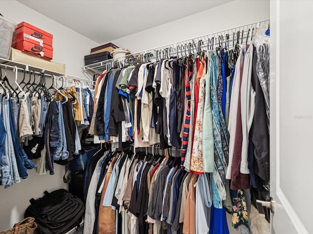 17729 Nectar Flume Dr, Land O Lakes, FL 34638 - view of walk in closet