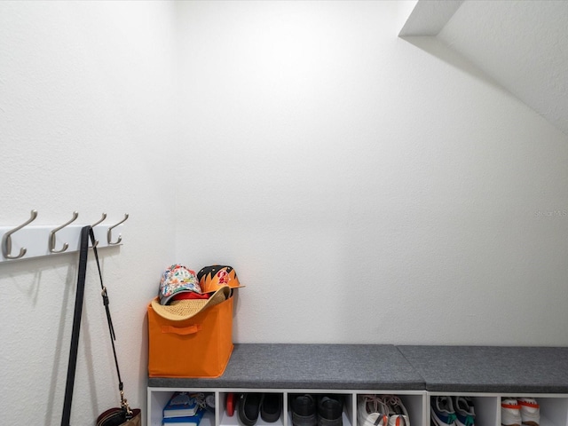 17729 Nectar Flume Dr, Land O Lakes, FL 34638 - view of mudroom