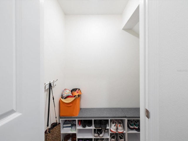 17729 Nectar Flume Dr, Land O Lakes, FL 34638 - view of mudroom