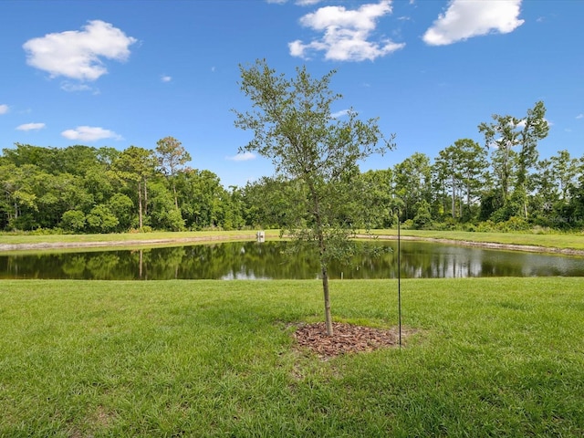 17729 Nectar Flume Dr, Land O Lakes, FL 34638 - view of green lawn featuring a water view
