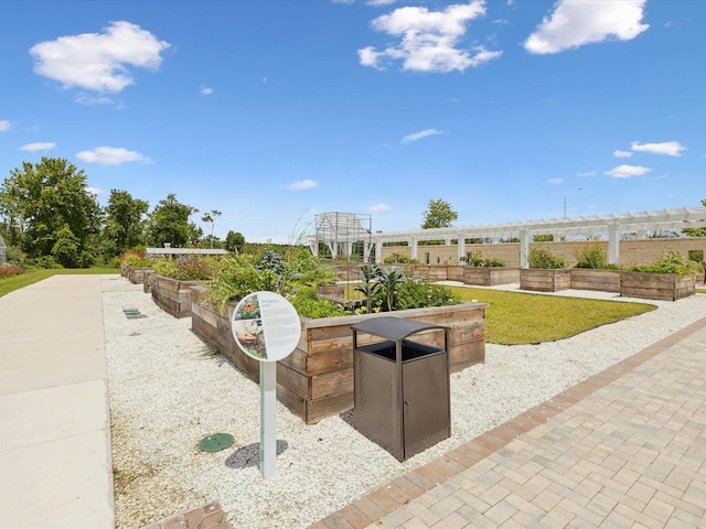 17729 Nectar Flume Dr, Land O Lakes, FL 34638 - view of home's community with a vegetable garden and a pergola