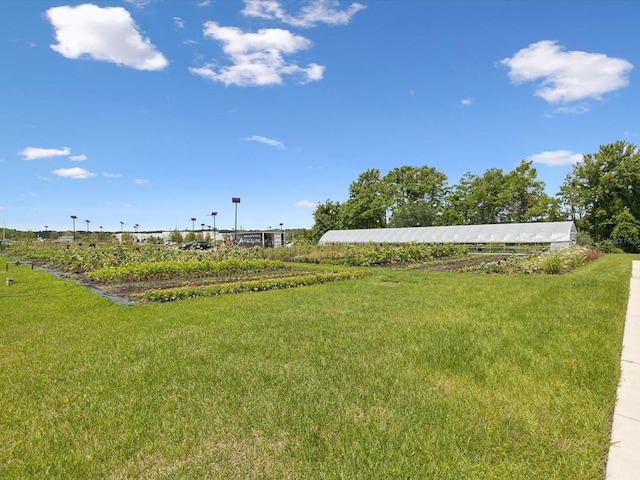 17729 Nectar Flume Dr, Land O Lakes, FL 34638 - view of grassy yard