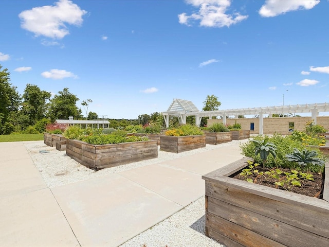 17729 Nectar Flume Dr, Land O Lakes, FL 34638 - view of patio / terrace with a garden and a pergola