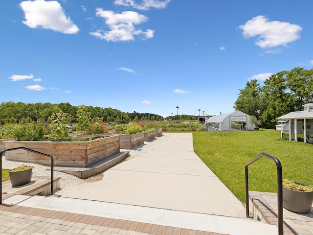 17729 Nectar Flume Dr, Land O Lakes, FL 34638 - view of patio featuring a vegetable garden