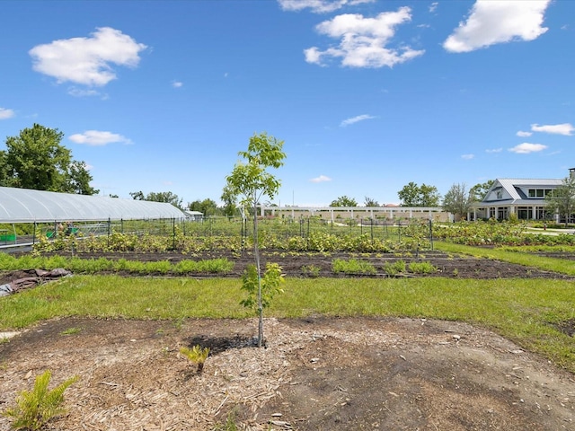 17729 Nectar Flume Dr, Land O Lakes, FL 34638 - view of yard