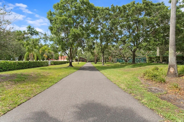 3005 W Sligh Ave, Tampa, FL 33614 - surrounding community featuring a yard