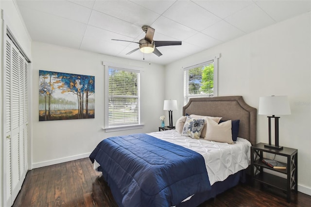 670 Wooddell Dr, Safety Harbor, FL 34695 - photo 10