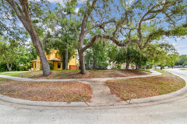 670 Wooddell Dr, Safety Harbor, FL 34695 - photo 11