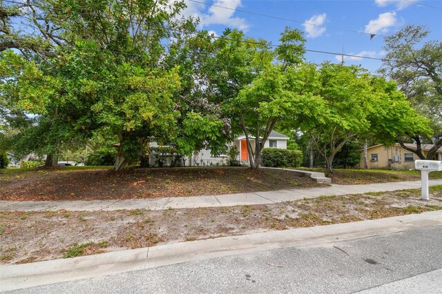 670 Wooddell Dr, Safety Harbor, FL 34695 - photo 12