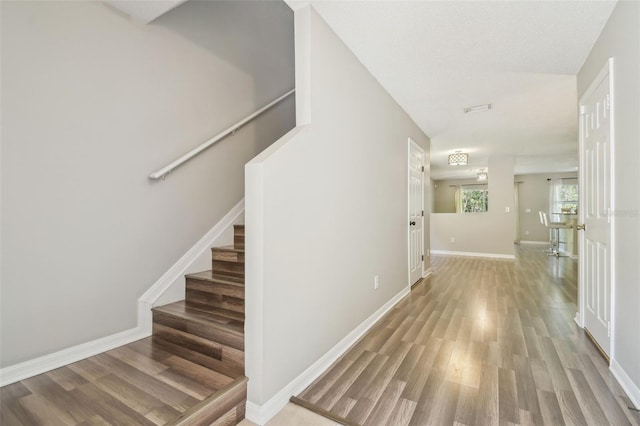 4528 Winding River Way, Land O Lakes, FL 34639 - stairs featuring wood finished floors and baseboards