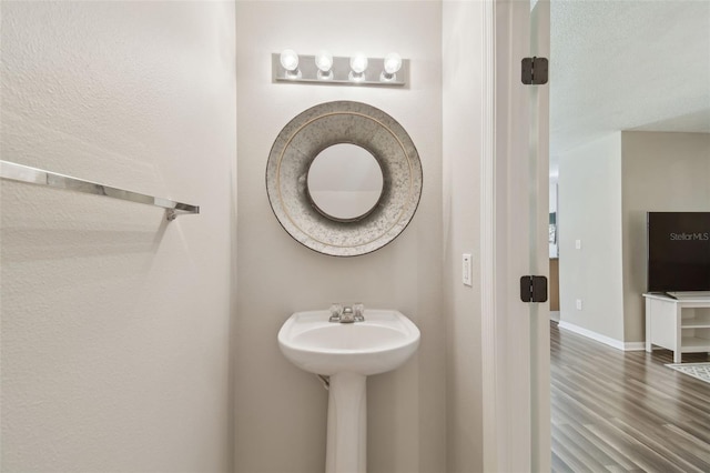 4528 Winding River Way, Land O Lakes, FL 34639 - bathroom with wood finished floors, baseboards, and a sink