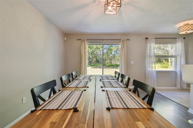 4528 Winding River Way, Land O Lakes, FL 34639 - dining area with healthy amount of natural light, a textured ceiling, wood finished floors, and baseboards