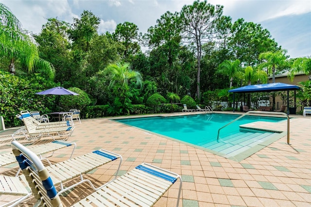 4528 Winding River Way, Land O Lakes, FL 34639 - community pool with a patio area and view of wooded area
