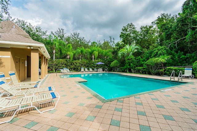 4528 Winding River Way, Land O Lakes, FL 34639 - community pool featuring a patio area and view of wooded area