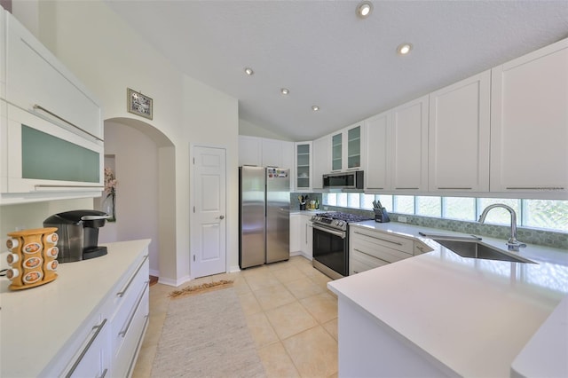 14502 Pond Cypress Way, Tampa, FL 33626 - kitchen with stainless steel appliances, a sink, glass insert cabinets, arched walkways, and vaulted ceiling