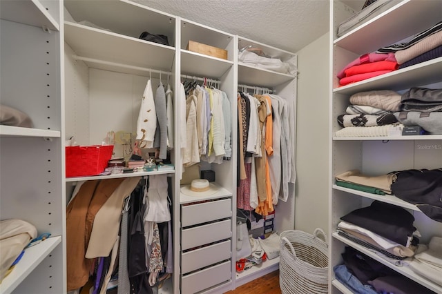 14502 Pond Cypress Way, Tampa, FL 33626 - walk in closet with wood finished floors