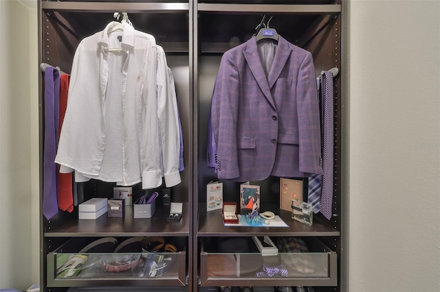 14502 Pond Cypress Way, Tampa, FL 33626 - view of closet