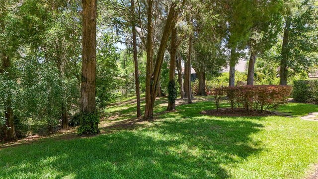 1903 Curry Rd, Lutz, FL 33549 - photo 5